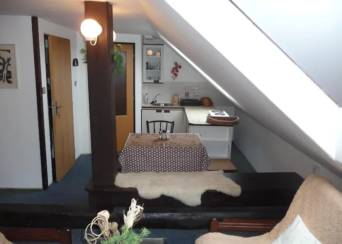 펜지온 자보드스키 3* 체스키크룸로프