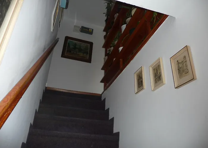 게스트하우스 펜지온 자보드스키