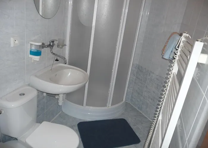 펜지온 자보드스키