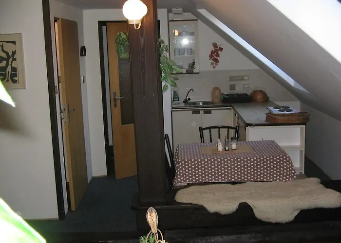 게스트하우스 펜지온 자보드스키 체스키크룸로프