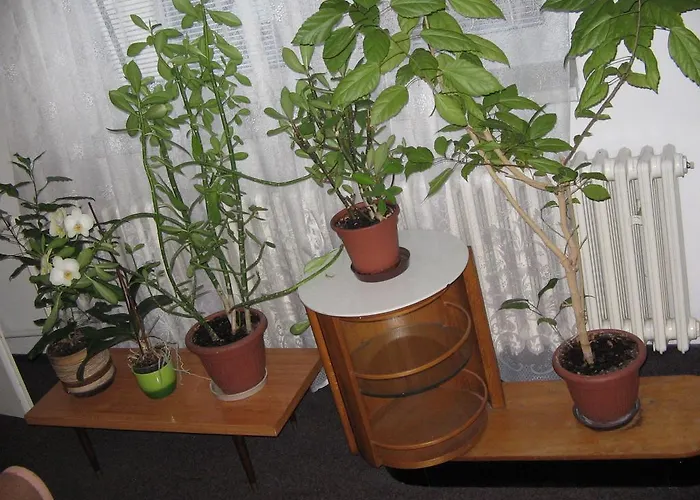 펜지온 자보드스키 게스트하우스